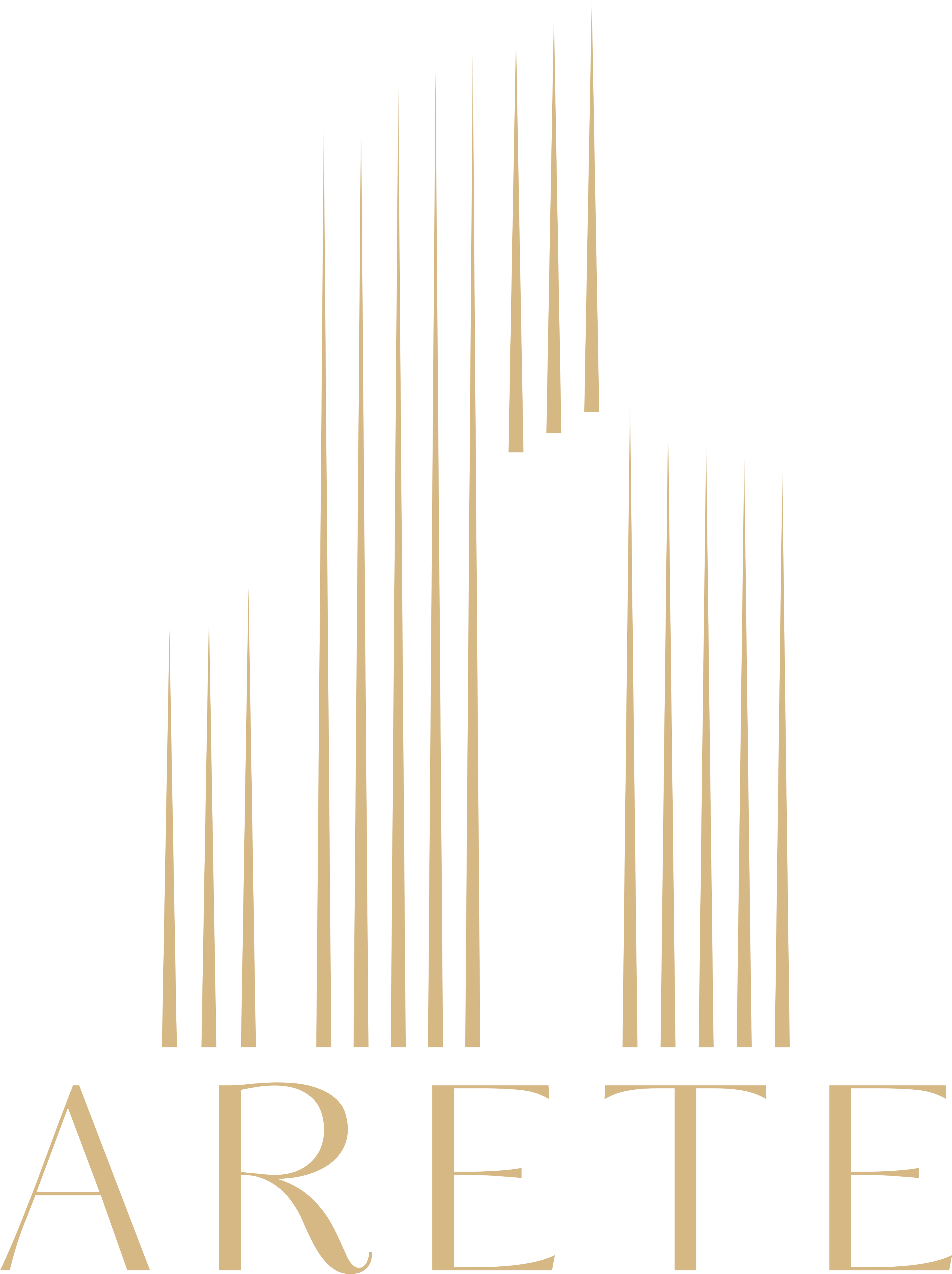 Arete Experience